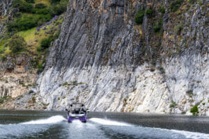 Purple S220 Supreme boat cruising into shore