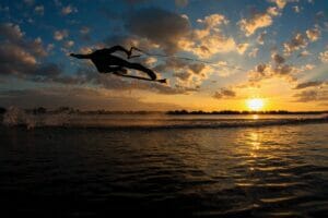 Matt Manzari Wakeskating sunset